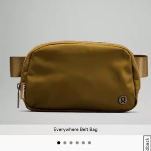 Everywhere belt bag